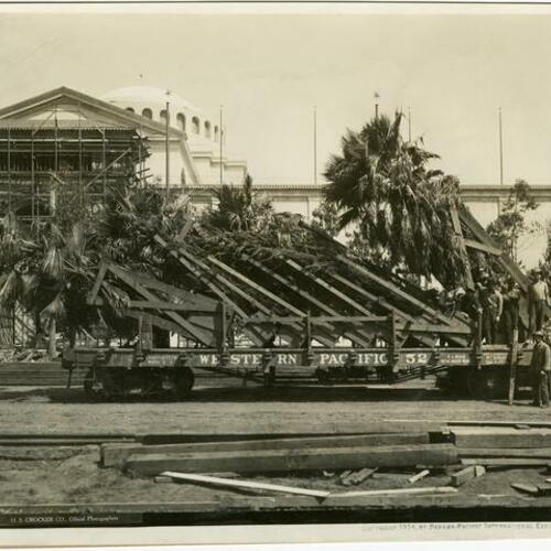 [Truck loaded with trees, Panama-Pacific International Exposition]