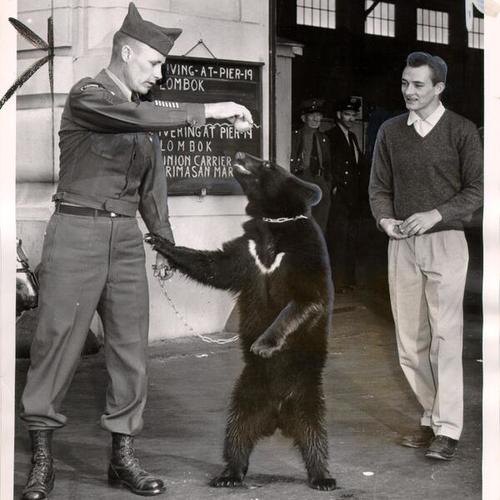 [Master Sergeant Gene Castle and Bob Ferguson playing with "Rocky" the bear at Pier 19]