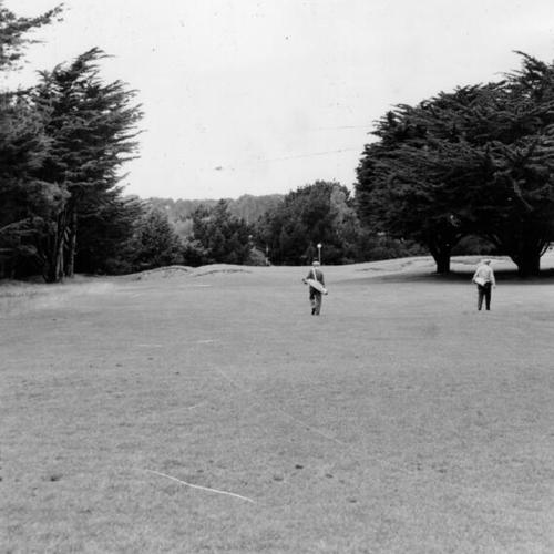 [Golfers at 17th hole in Harding Park]