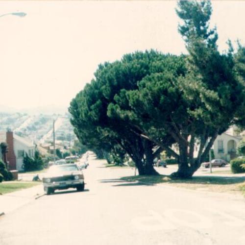 [View south down Miramar Avenue from Monterey Boulevard in the Westwood Park district]