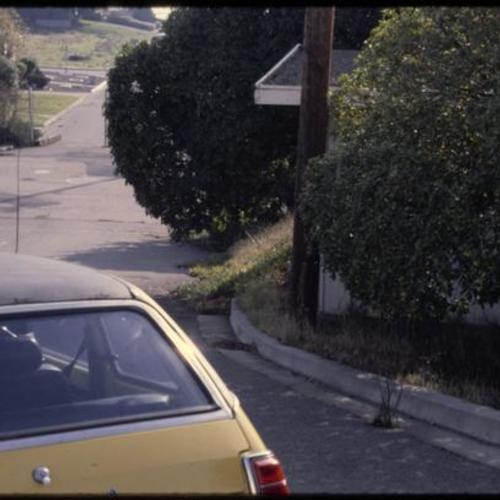 Downhill view of street with parked cars and overgrown vegetation