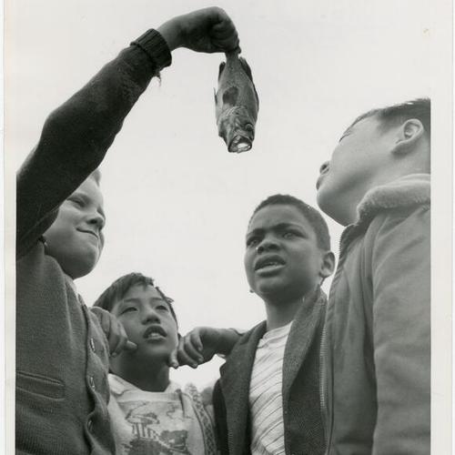 [Children catching a fish at Y.M.C.A. Day Camp]