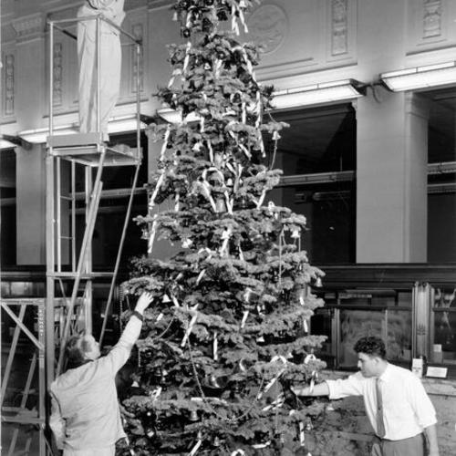 [Workers decorating a Christmas tree at the head office of Anglo California National Bank]