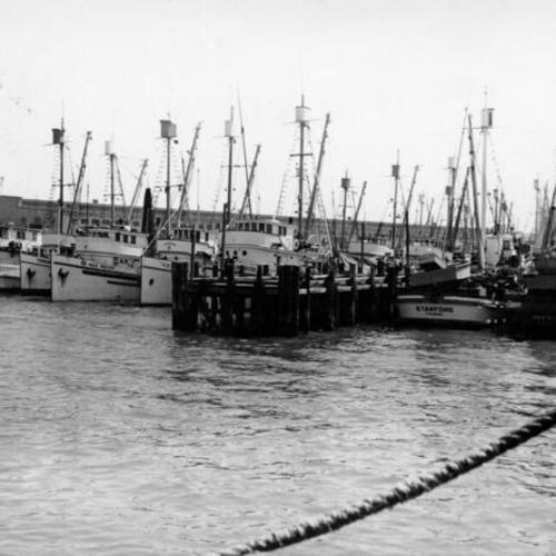 [Harbor and Bay, Fisherman's Wharf]