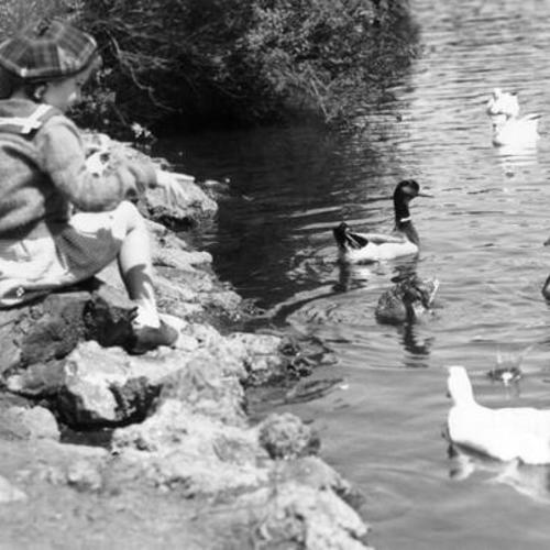 [Joan Weisbord feeding ducks on Strawberry Island]