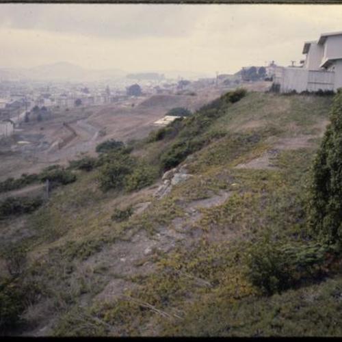 View of hillside with overgrown vegetation in front of buildings and warehouses