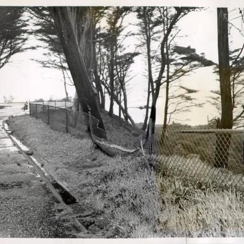[Damaged fence at Sutro Heights]