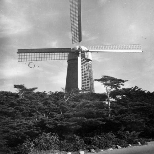 [Windmill in Golden Gate Park]