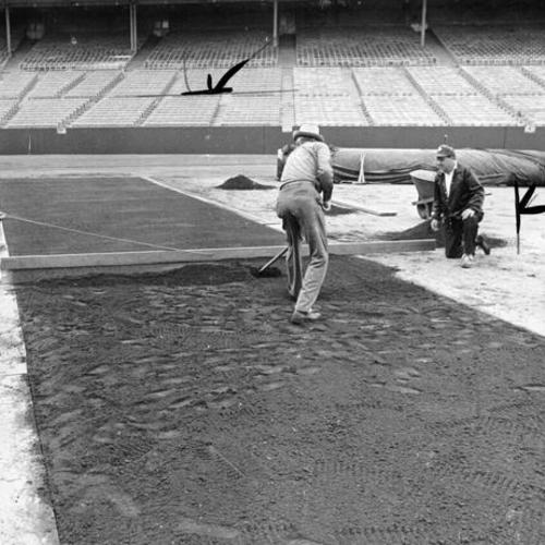 [Matty Schwab and his groundskeeping crew placing sod on the infield for an upcoming game]