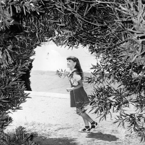 [Little girl plays on a walk near the dense bushes of Buena Vista Park]