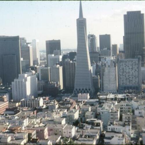 [Downtown skyline including Transamerica Building, taken from Coit Tower]