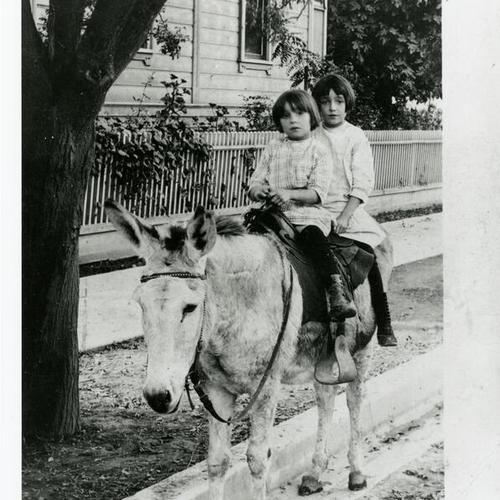 [Henrietta and Emily riding a donkey]