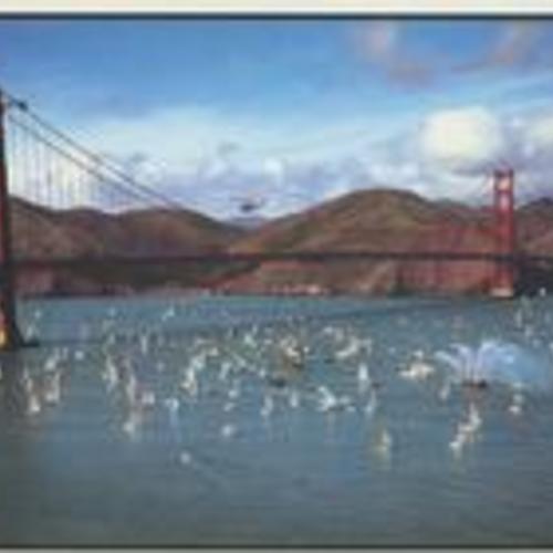 [Golden Gate Bridge with Golden Hinde II]