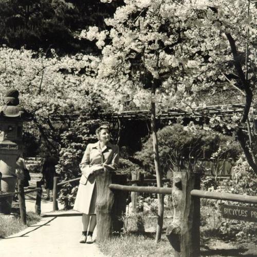 [Unidentified woman admires cherry trees in Japanese Tea Garden]