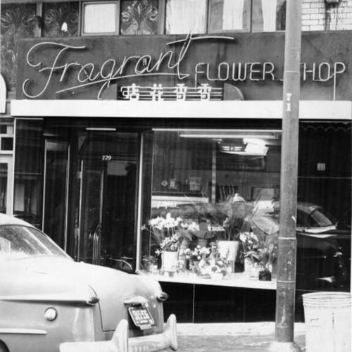 [Fragrant Flower Shop, a front for narcotic dealers]