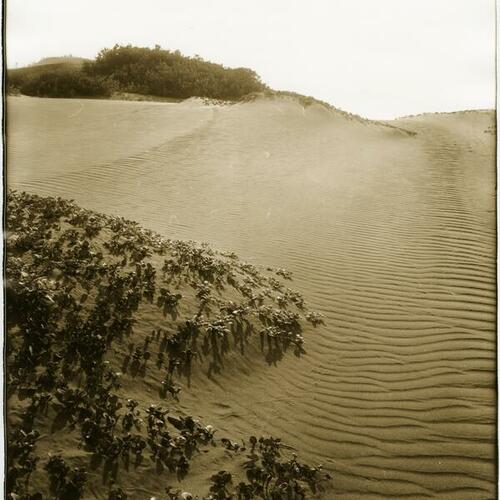 [Sand dunes]