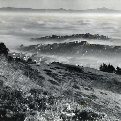 [View from Twin Peaks on a foggy morning]