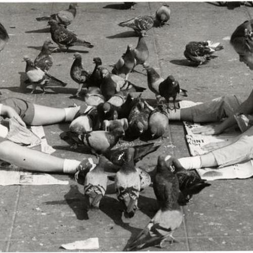 [Two youngsters sit with a flock of pigeons in Union Square]