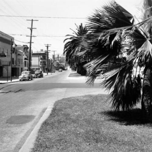[Dolores at 29th Street, May 11th, 1948, 2:30 pm.]