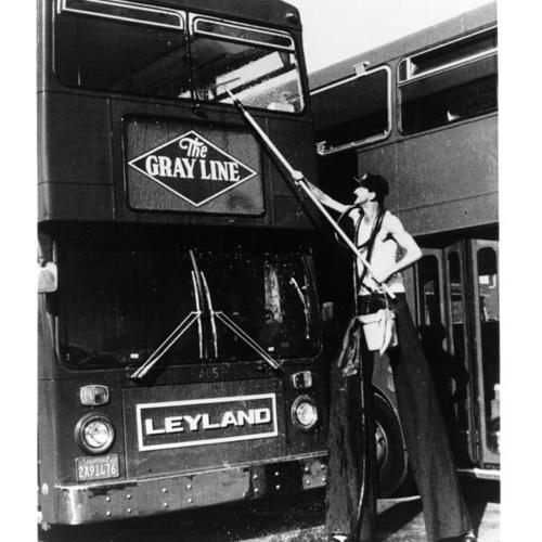 [Gray Lines Tour Bus]