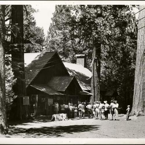[Campers receiving meals at Camp Lodge cafeteria at Camp Mather]