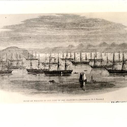 Fleet of whalers in the Port of San Francisco, 1864