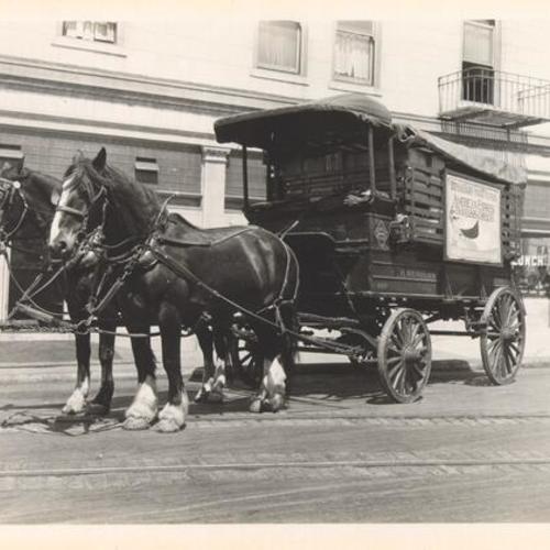 [Horse and carriage belonging to American Railway Express]