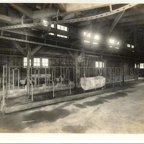 [Interior of livestock stables at the Panama-Pacific International Exposition]