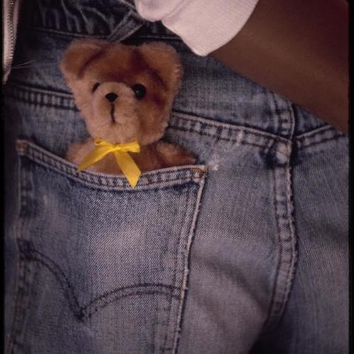 Teddy bear in person's back pocket