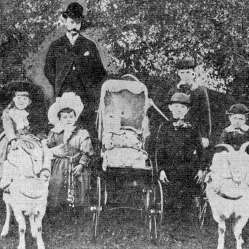 [Master Harris Hammond (right of buggy) celebrates his birthday on the opening day of the children's playground in the park]