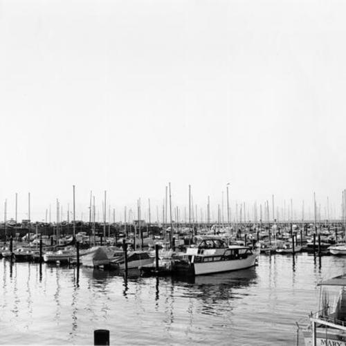[Yacht Harbor, Marina District]