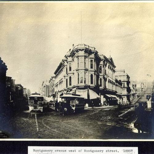 Montgomery (Columbus) avenue west of Montgomery street. 1884