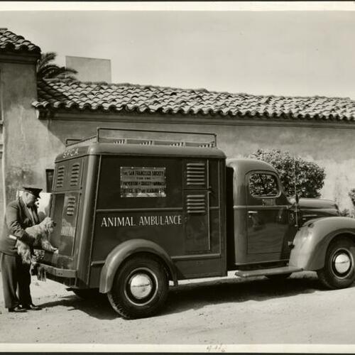 [S.P.C.A. loading a dog into an animal ambulance]