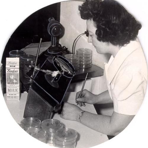 [Laboratory technician Alice Sullivan checking the bacteria count of milk at the Borden Company Plant at 1325 Potrero Avenue]