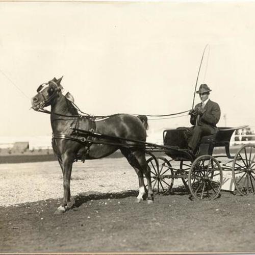 [Society Horse Show at Panama-Pacific International Exposition]