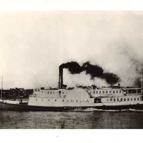 [Ferry steamer "Amelia"]