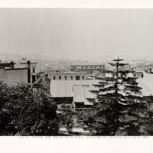 [View from the residence of William J. Babcock, 11 Essex Street, Rincon Hill]