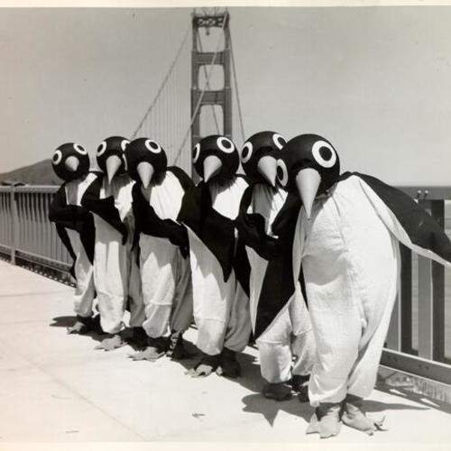 [Group of people dressed up as a "Penguin Chorus" during a preview of the Golden Gate Bridge Fiesta]