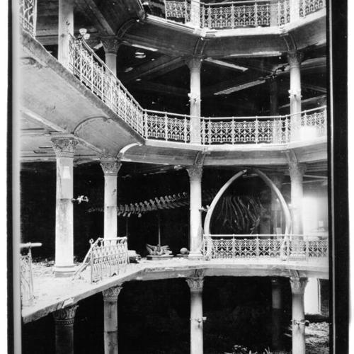 [Interior of the California Academy of Sciences after the 1906 earthquake and fire]