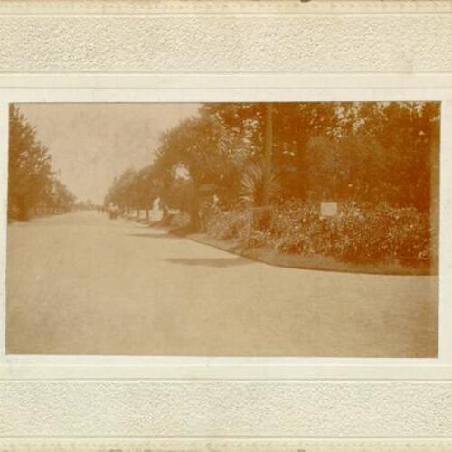 [Main driveway from gates at Sutro Heights]
