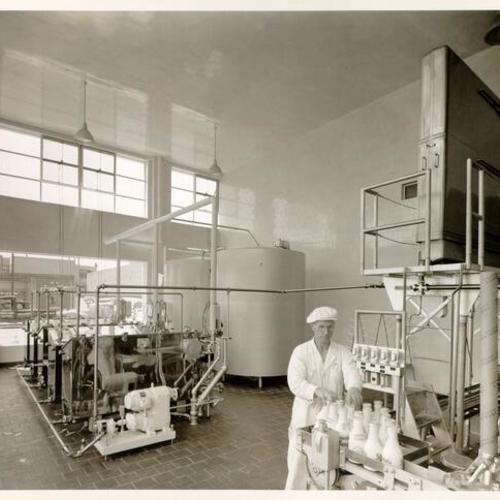 [Employee working at the Spreckels/Russell Dairy Company]