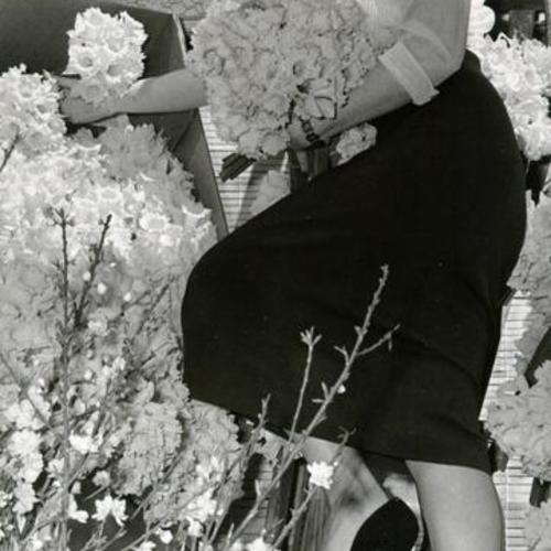 [Dolores Crosby putting up daffodils for the Spring Comes to Maiden Lane Festival]