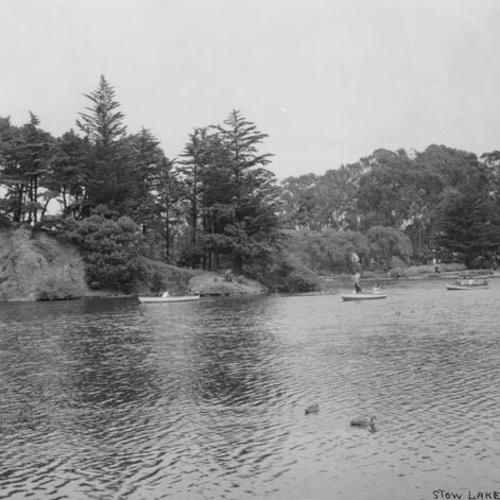 [Rowboats on Stow Lake in Golden Gate Park]