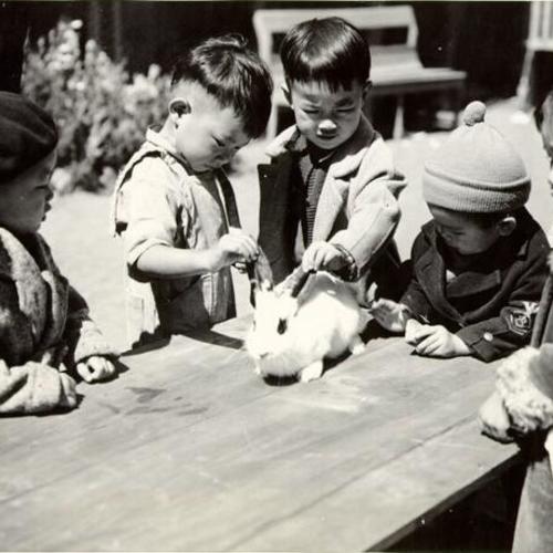 [Children petting a rabbit at a Chinese Nursery School]