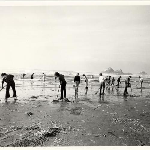 [Oil spill cleanup at Ocean Beach]