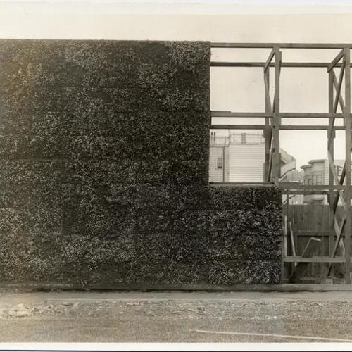 [Placing boxes of mesembryanthemum hedge at Panama-Pacific International Exposition]