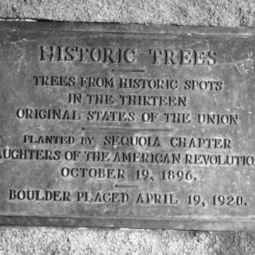 [Plaque identifying historic trees from the original thirteen states]