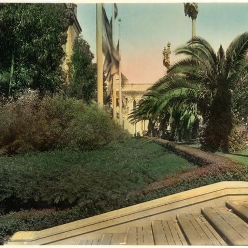 [Trees at Panama-Pacific International Exposition]