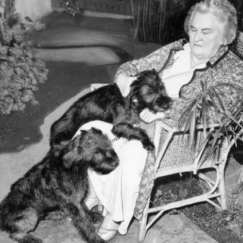 [Annie Laurie with dogs]