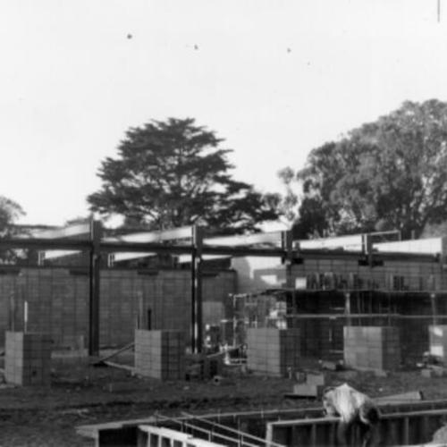 [Hall of Flowers in Golden Gate Park under construction]
